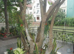 Hanoi housing
